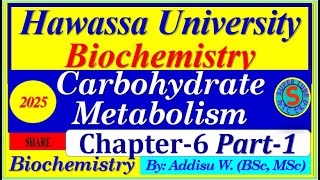 carbohydrates metabolism part1 interview exam digestion biochemistry 2024 [upl. by Annasor]