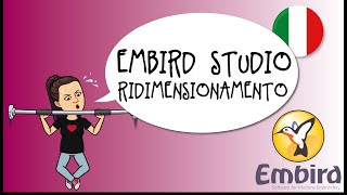 Embird in italiano impariamo a ridimensionare il file vettoriale [upl. by Diandre]