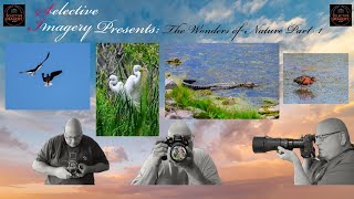 The Wonders of Nature Photography Part One [upl. by Hazelton784]