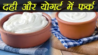 Curd And Yogurt Heres the difference  दही और योगर्ट में ये है फर्क  Boldsky [upl. by Haggar906]