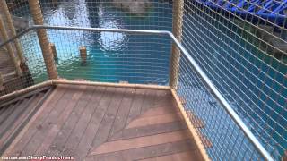 Manta Queue WalkThrough SeaWorld San Diego [upl. by Idnor521]