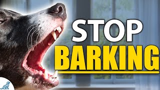 STOP Your Dog From Barking Indoors  Complete Guide [upl. by Anidal838]