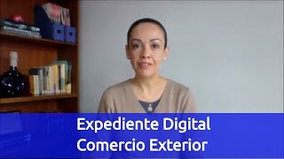 EPISODIO 045 Expediente Digital en Comercio Exterior [upl. by Aileon]