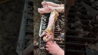 Process of Removing Pig Skin with a Knife [upl. by Akyeluz839]