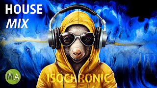 Peak Focus for Complex Tasks House Study Music Aardvark Mix with Isochronic Tones [upl. by Boni]