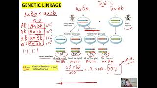 Genetics Unit Gene Linkage Recombination Frequency and Application of Chi Square test [upl. by Irah]