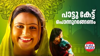 Paattu Kettu Ponnurangenam  പാട്ടു കേട്ട് പൊന്നുറങ്ങേണം  Safiya  Mappilappattukal [upl. by Regni]