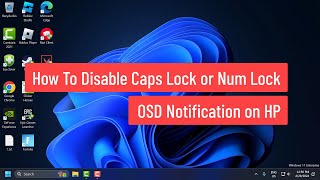 How To Disable Caps Lock or Num Lock OSD Notification on HP PC [upl. by Rebmik]