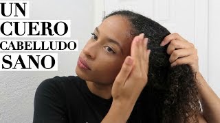 Haz CRECER TU PELO sano exfoliándolo retopelucón 4ta semana [upl. by Undry991]