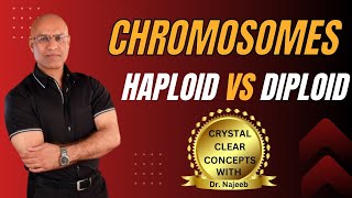 Basics of Chromatids  Haploid vs Diploid Chromosomes🦠 [upl. by Olinde]