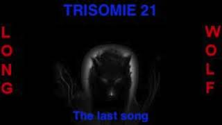 Trisomie 21  The last song  Extended Wolf [upl. by Toiboid]