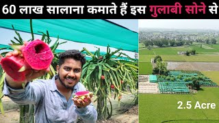 विदेश की 42 लाख की नौकरी छोड़ अपने गाँव आकर की Dragon Fruit Farming  Dragon Fruit Farm Tour [upl. by Moyna856]