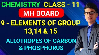 Allotropes of Carbon amp Phosphorous  9  Elements of group 1314 amp 15  Class  11  MH Board [upl. by Rosene30]