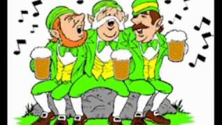 Irish Drinking Song  Mountain Dew [upl. by Isidora]