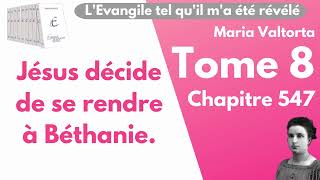 Maria Valtorta  Tome 8 chapitre 547  LEvangile tel quil ma été révélé [upl. by Keith280]