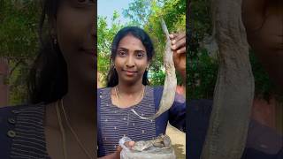 பழைய சோறுக்கு super ah irukkum வாலகருவாடு தொக்கு  Dry Fish Gravy food shorts [upl. by Mosenthal302]