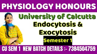 Physiology honours  Endocytosis  Exocytosis  Notes  physiology honours  CU SEM 1 [upl. by Enyale]