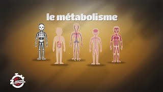 2mn pour comprendre LE METABOLISME du 14 Octobre 2019 par Polus Agathon [upl. by Ahsets]