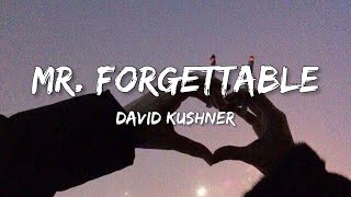 David Kushner  Mr Forgettable Lyrics [upl. by Eanil629]