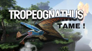 2023 UPDATED  SOLO TROPEOGNATHUS TAME LOCATIONS FJORDUR ARK SURVIVAL EVOLVED [upl. by Heti]