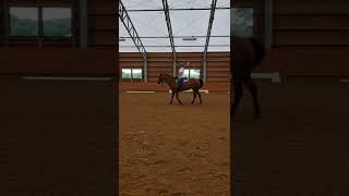 Western Dressage Basic Level Test 3 with test pattern read [upl. by Kasevich]