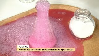 Testa skojiga experiment med barnen hemma  Nyhetsmorgon TV4 [upl. by Dahlstrom]