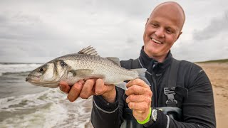 VISblad TV  strandvissen op Maasvlakte 2 [upl. by Calvina]