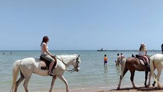 Пляж отеля Golden Beach Resort 4 Hurghada Вы это серьёзно [upl. by Glialentn969]