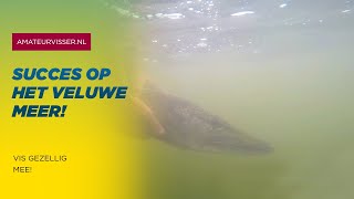 SNOEKVISSEN op het VELUWEMEER  AKTIE [upl. by Galvin]