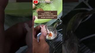 CARA MEREBUS TELUR SETENGAH MATANGtelurayamkampung telur idebekal vitamin masakanseharihari [upl. by Jeffrey9]