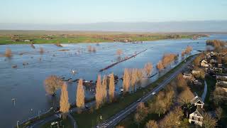 hoog water bij Wijhe  Olst 26 december 2023 [upl. by Wilfrid]