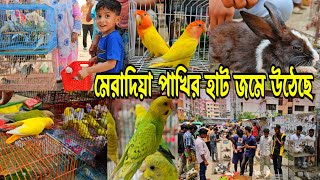 প্রচন্ড গরমেও জমজমাট মেরাদিয়া পাখির হাট  Meradia pakhir haat [upl. by Drawoh464]