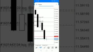 HOTFOREX IS A SCAM GUYS [upl. by Sorel]