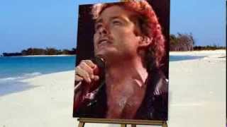 David Hasselhoff  quotFlying On The Wings Of Tendernessquot live 1989 [upl. by Adiel]