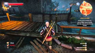 How to start lady of the woods quest The Witcher 3 [upl. by Fayre435]