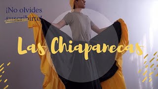 LAS CHIAPANECAS PASOS BASICOS  FOLKLORE MEXICANO [upl. by Vanya70]