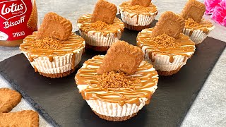 Lotus Biscoff mini cheesecakes Easy and yummy no bake dessert [upl. by Rhine]