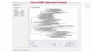 2 Phylogenetics amp Phylogeographylecturepart 2 [upl. by Kelam]