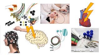 Ingénierie Biomédicale Présentation de la Bioélectricité [upl. by Heydon]