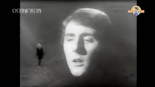 The Moody Blues  Go Now 1965 [upl. by Quarta81]