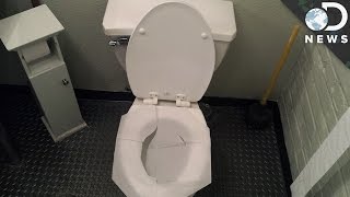 Do Toilet Seat Covers Really Protect You [upl. by Nebur66]