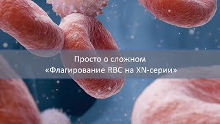 Просто о сложном Флагирование RBC на XNсерии [upl. by Hughmanick]