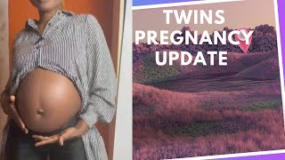 Update of weeks 25 amp 26 pregnant with twins [upl. by Enomahs]