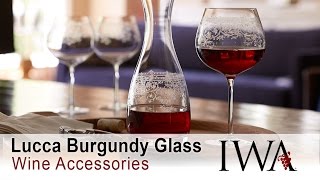 Unboxing Lucca Etched Burgundy Wine Glasses [upl. by Delfine]