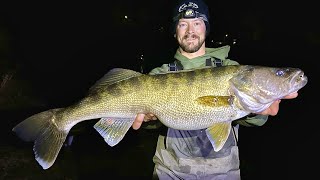 HUGE WALLEYE Breaks 7 State Records New PB [upl. by Bainter]