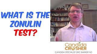 What Is The Zonulin Test [upl. by Ricoriki]