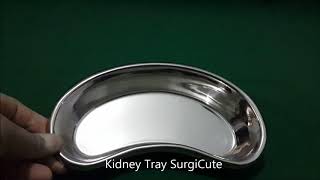 Kidney Tray kidney Dish Stainless Steel 10quot [upl. by Roselle]