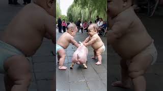 These two twin brothers are too active The pig is trying to escape [upl. by Karol]