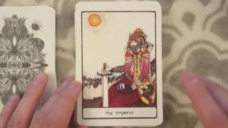 The Efflorescent Tarot Walkthrough [upl. by Dublin796]