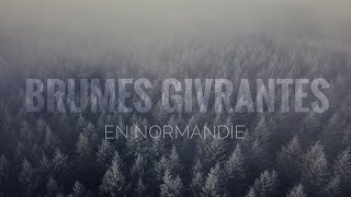 Brumes givrantes en Normandie  Janvier 2022 [upl. by Ahsenom590]